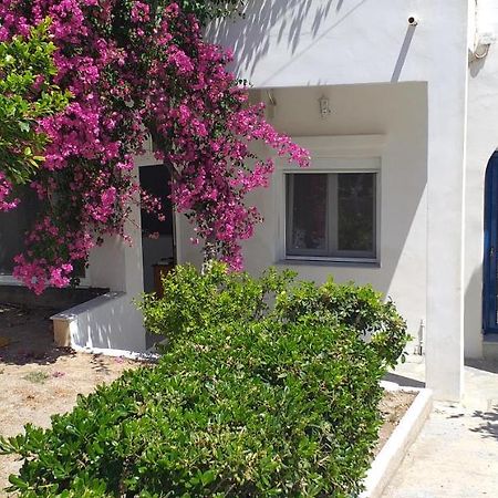 Appartement White And Blue,Finikas Syros à Vissa Extérieur photo
