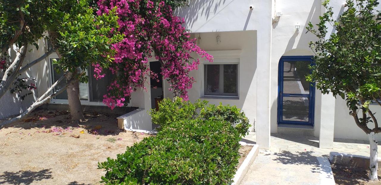 Appartement White And Blue,Finikas Syros à Vissa Extérieur photo
